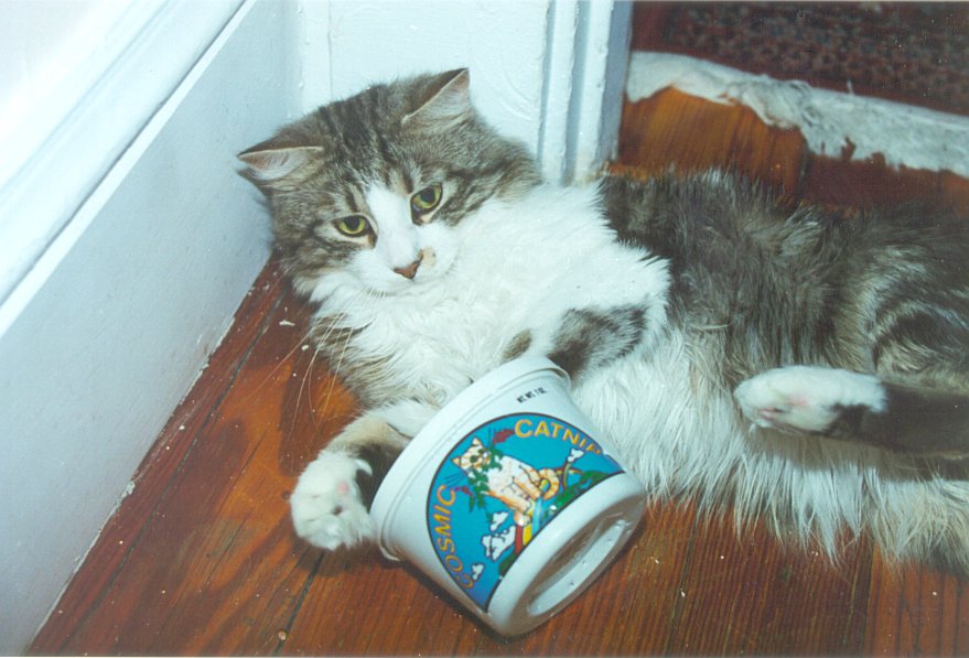 Gowron With Catnip